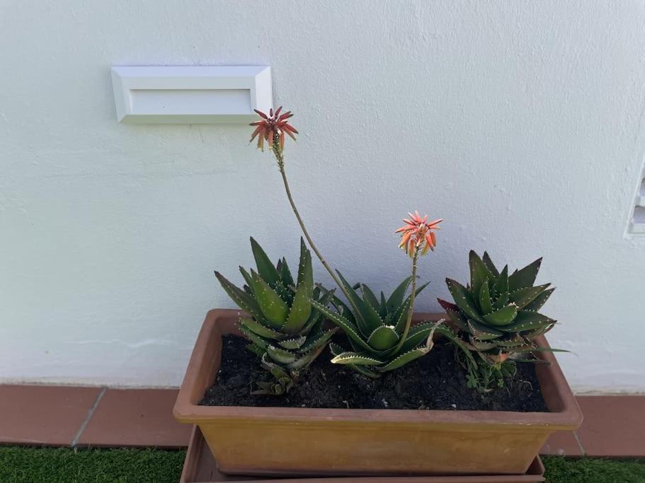 Casa Lola Conil, Azotea Al Mar Y Parking Solo Familias O Parejas Villa Conil De La Frontera Bagian luar foto